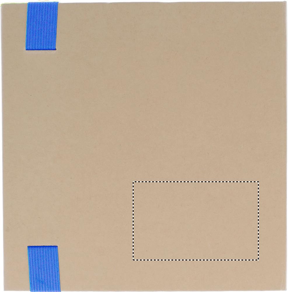 Dorso: 80x50 mm