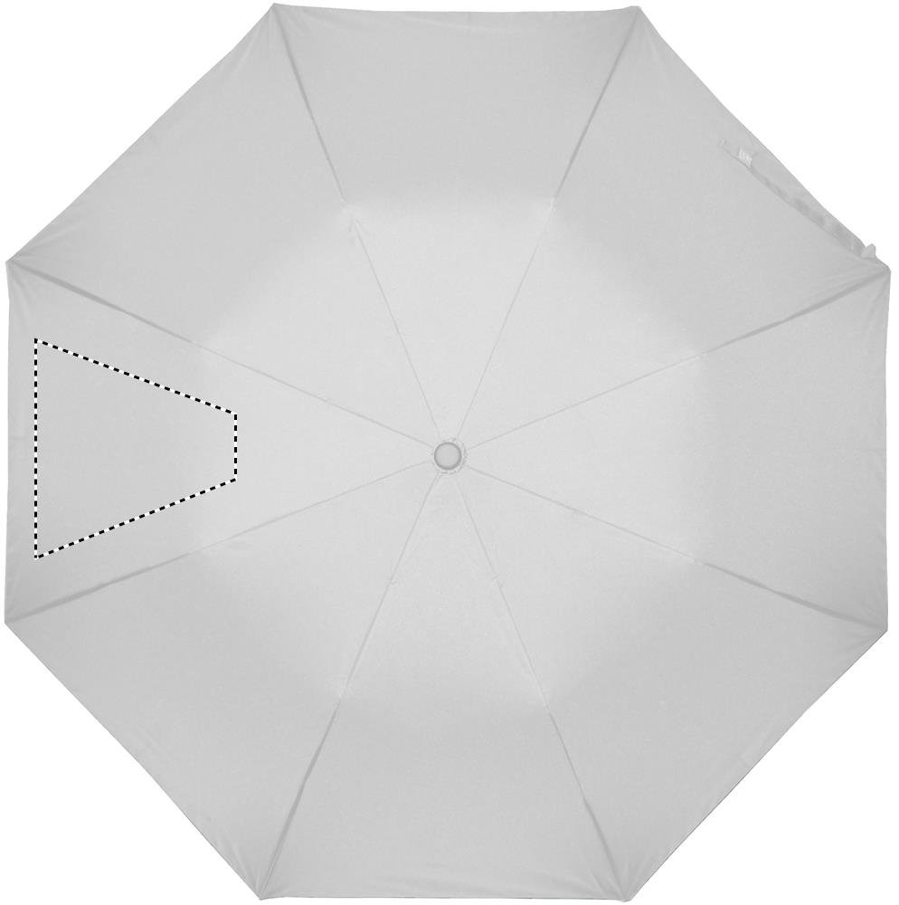 Dorso: 210x210 mm