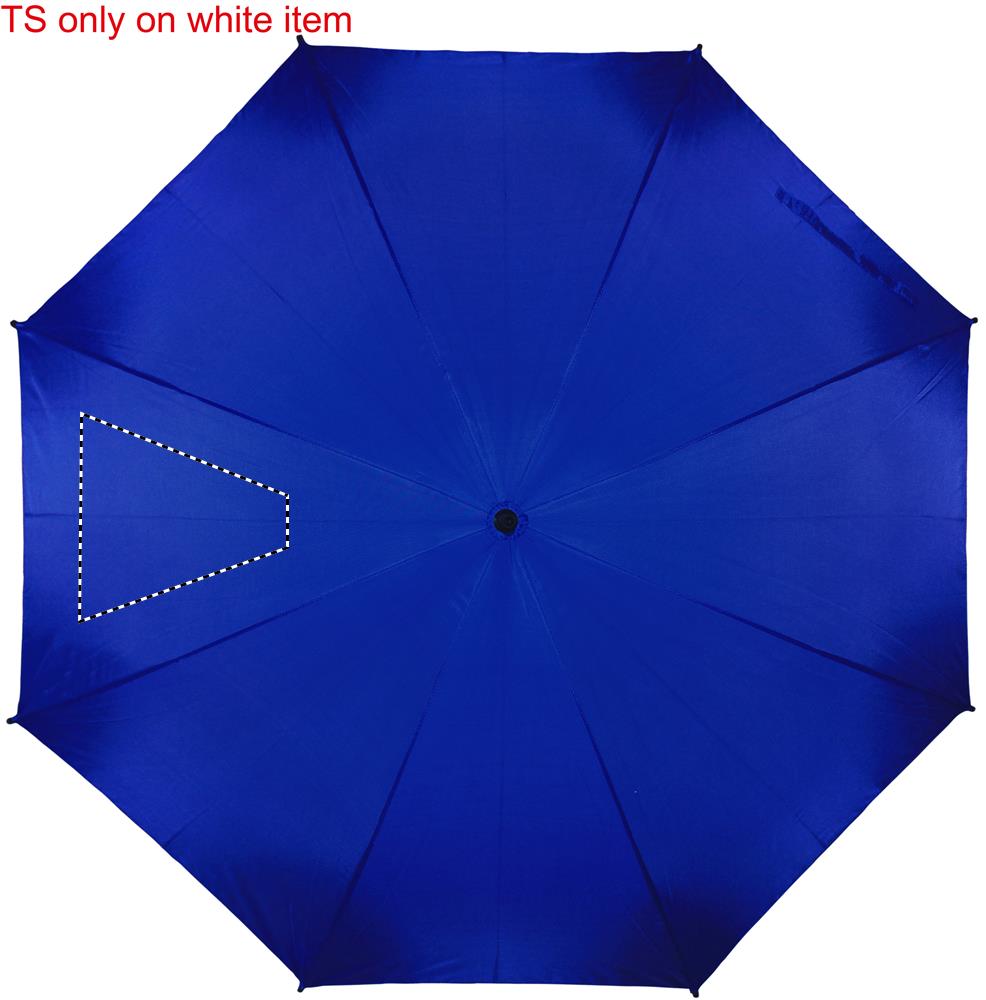 Dorso: 210x210 mm