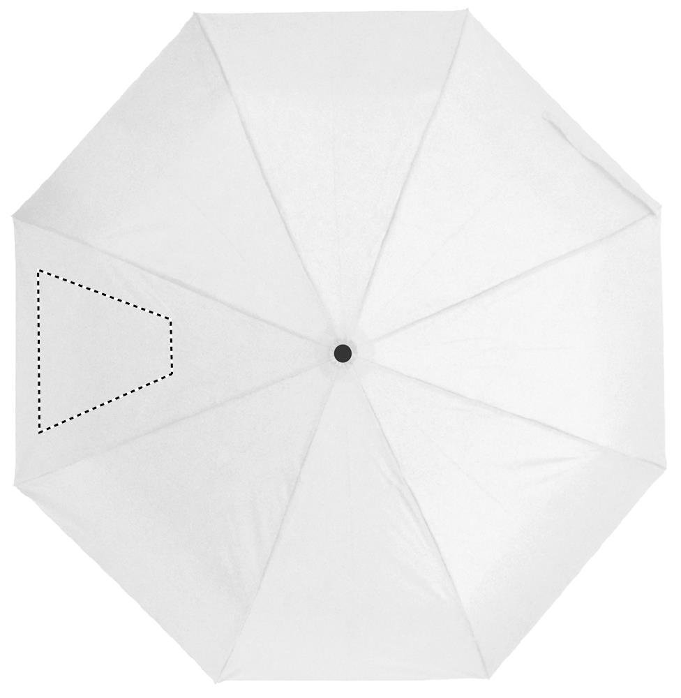 Dorso: 210x210 mm