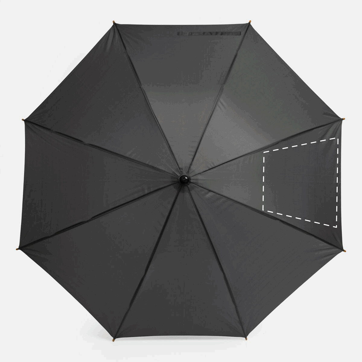 Izquierda: 300cm²