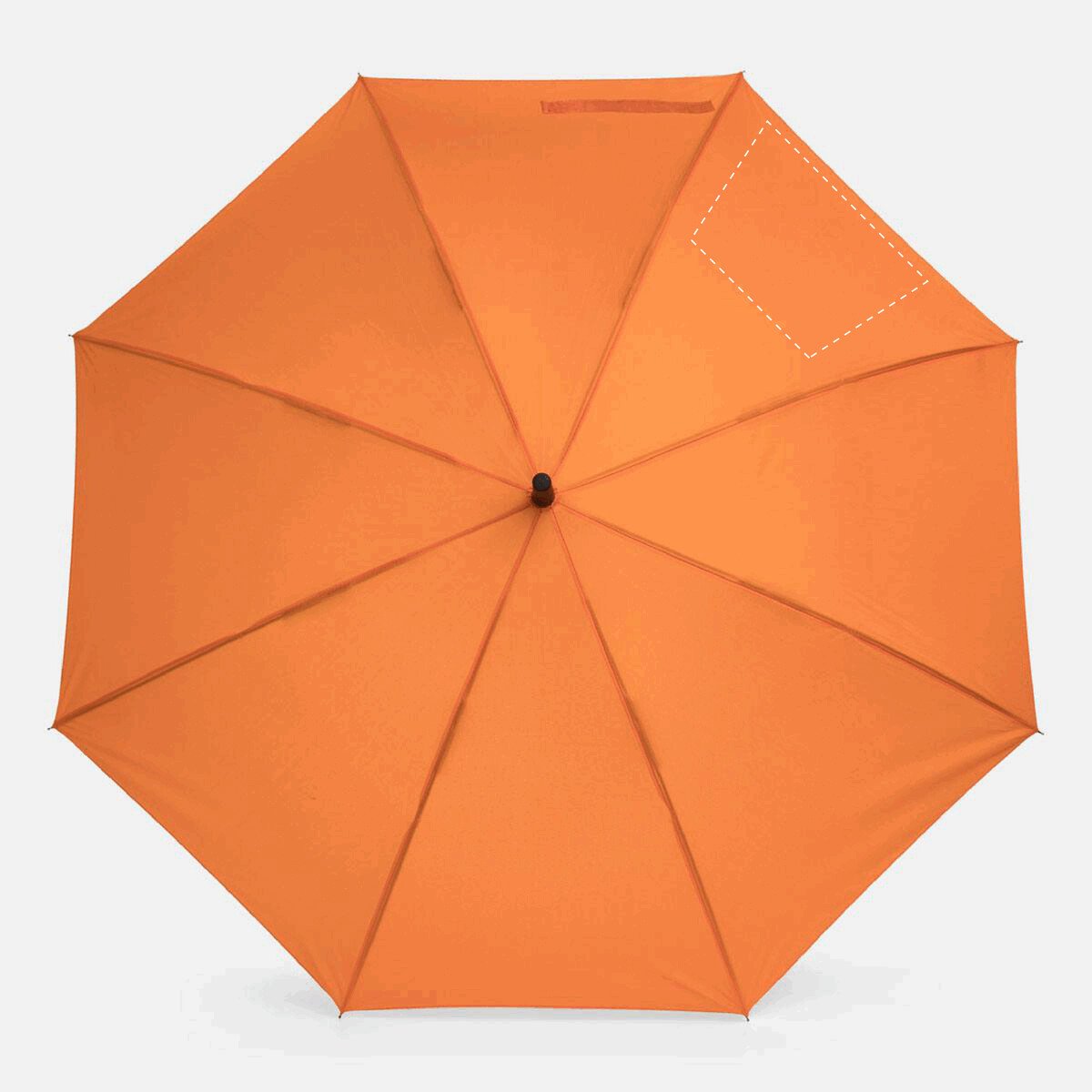 Izquierda: 270/160x200mm (430cm²)